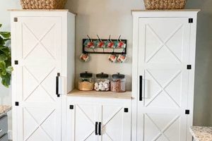 Build Your Dream DIY Pantry Cabinet: Plans & Ideas! The DIY Hub: Creative Crafts, Repairs & Life Hacks Build Your Dream DIY Pantry Cabinet: Plans & Ideas! | The DIY Hub: Creative Crafts, Repairs & Life Hacks