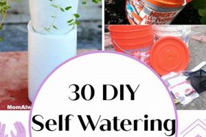 Easy DIY Self Watering Planters: Build Yours Today! | The DIY Hub: Creative Crafts, Repairs & Life Hacks