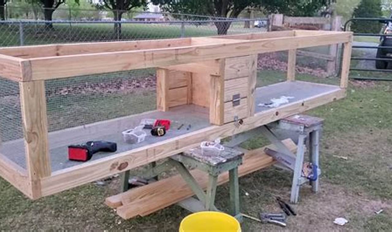 Build a Better Coop: DIY Quail Coop Plans & Tips | The DIY Hub: Creative Crafts, Repairs & Life Hacks