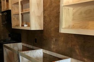 Build It: DIY Cabinets You Can Actually Finish! | The DIY Hub: Creative Crafts, Repairs & Life Hacks