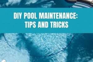 Easy DIY Pool Care Guide: Tips & Tricks The DIY Hub: Creative Crafts, Repairs & Life Hacks Easy DIY Pool Care Guide: Tips & Tricks | The DIY Hub: Creative Crafts, Repairs & Life Hacks