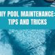 Easy DIY Pool Care Guide: Tips & Tricks | The DIY Hub: Creative Crafts, Repairs & Life Hacks