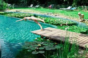 Easy DIY Natural Swimming Pool Guide: Build Your Oasis! The DIY Hub: Creative Crafts, Repairs & Life Hacks Easy DIY Natural Swimming Pool Guide: Build Your Oasis! | The DIY Hub: Creative Crafts, Repairs & Life Hacks