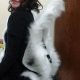 Easy DIY Skunk Costume: Adorable & Simple! | The DIY Hub: Creative Crafts, Repairs & Life Hacks