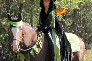 Easy DIY Costumes for Horses: Fun & Safe Ideas The DIY Hub: Creative Crafts, Repairs & Life Hacks Easy DIY Costumes for Horses: Fun & Safe Ideas | The DIY Hub: Creative Crafts, Repairs & Life Hacks