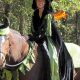 Easy DIY Costumes for Horses: Fun & Safe Ideas | The DIY Hub: Creative Crafts, Repairs & Life Hacks