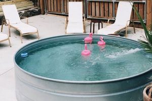 DIY Stock Tank Pool: Your Easy, Affordable Backyard Oasis The DIY Hub: Creative Crafts, Repairs & Life Hacks DIY Stock Tank Pool: Your Easy, Affordable Backyard Oasis | The DIY Hub: Creative Crafts, Repairs & Life Hacks
