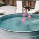 DIY Stock Tank Pool: Your Easy, Affordable Backyard Oasis | The DIY Hub: Creative Crafts, Repairs & Life Hacks
