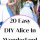 DIY Magic: Last Minute Alice in Wonderland Costume Ideas | The DIY Hub: Creative Crafts, Repairs & Life Hacks