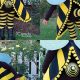 Easy DIY Bumble Bee Costume Ideas + Tips & Tricks | The DIY Hub: Creative Crafts, Repairs & Life Hacks