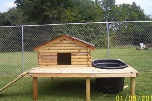 Build Your Dream: DIY Duck Coop with Pool Plans Today! The DIY Hub: Creative Crafts, Repairs & Life Hacks Build Your Dream: DIY Duck Coop with Pool Plans Today! | The DIY Hub: Creative Crafts, Repairs & Life Hacks