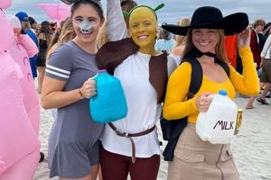 DIY Shrek Costumes: Easy Character Creations & Ideas The DIY Hub: Creative Crafts, Repairs & Life Hacks DIY Shrek Costumes: Easy Character Creations & Ideas | The DIY Hub: Creative Crafts, Repairs & Life Hacks