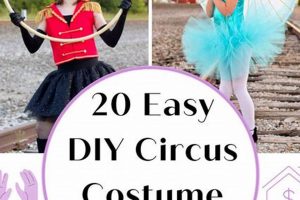 Easy DIY Carnival Costume Ideas: Make Your Own! | The DIY Hub: Creative Crafts, Repairs & Life Hacks