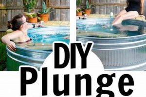 Easy DIY Plunge Pool Guide: Your Backyard Oasis! | The DIY Hub: Creative Crafts, Repairs & Life Hacks