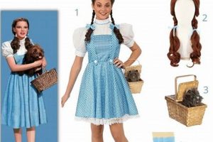 DIY Dorothy Gale Costume: Your Own Wizard of Oz Look! | The DIY Hub: Creative Crafts, Repairs & Life Hacks