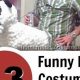 Hilarious Diy Halloween Costumes | The DIY Hub: Creative Crafts, Repairs & Life Hacks