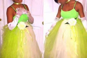 Easy DIY Princess Tiana Costume: Enchanting & Budget-Friendly | The DIY Hub: Creative Crafts, Repairs & Life Hacks