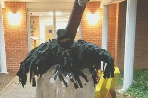 Easy Ostrich Costume DIY: A Feathered Adventure! | The DIY Hub: Creative Crafts, Repairs & Life Hacks