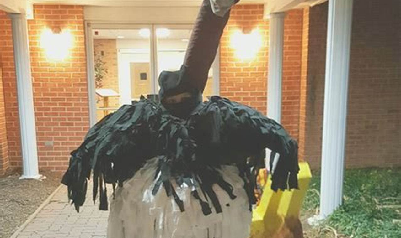 Easy Ostrich Costume DIY: A Feathered Adventure! | The DIY Hub: Creative Crafts, Repairs & Life Hacks