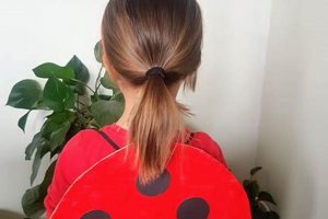 Easy Ladybird Costume DIY: Cute Bug Outfit! | The DIY Hub: Creative Crafts, Repairs & Life Hacks