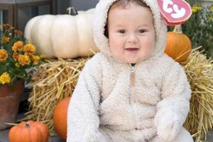 Easy DIY Newborn Costume Ideas + Cute Outfits The DIY Hub: Creative Crafts, Repairs & Life Hacks Easy DIY Newborn Costume Ideas + Cute Outfits | The DIY Hub: Creative Crafts, Repairs & Life Hacks