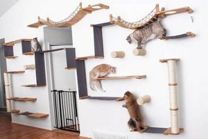 DIY Cat Wall Ideas: Fun Projects for Your Cat! The DIY Hub: Creative Crafts, Repairs & Life Hacks DIY Cat Wall Ideas: Fun Projects for Your Cat! | The DIY Hub: Creative Crafts, Repairs & Life Hacks