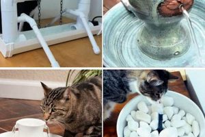 Easy DIY Cat Fountain Ideas: Hydrate Your Cat! The DIY Hub: Creative Crafts, Repairs & Life Hacks Easy DIY Cat Fountain Ideas: Hydrate Your Cat! | The DIY Hub: Creative Crafts, Repairs & Life Hacks