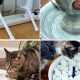 Easy DIY Cat Fountain Ideas: Hydrate Your Cat! | The DIY Hub: Creative Crafts, Repairs & Life Hacks