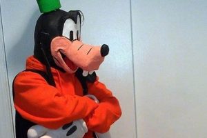 Easy DIY Goofy Costume: Create Your Own Goofy Outfit | The DIY Hub: Creative Crafts, Repairs & Life Hacks