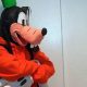 Easy DIY Goofy Costume: Create Your Own Goofy Outfit | The DIY Hub: Creative Crafts, Repairs & Life Hacks