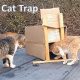 Build a Humane DIY Cat Trap Today: Guide & Plans | The DIY Hub: Creative Crafts, Repairs & Life Hacks