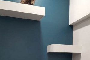 Build a Cozy Cat Shelf DIY: Easy Steps & Ideas The DIY Hub: Creative Crafts, Repairs & Life Hacks Build a Cozy Cat Shelf DIY: Easy Steps & Ideas | The DIY Hub: Creative Crafts, Repairs & Life Hacks