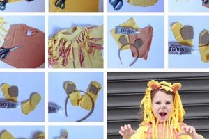 Easy Costume Lion DIY Ideas: Roar-some Fun! | The DIY Hub: Creative Crafts, Repairs & Life Hacks