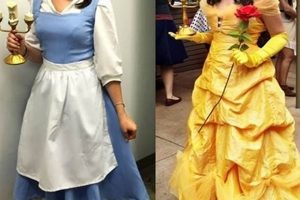 Belle Beauty And The Beast Diy Costume | The DIY Hub: Creative Crafts, Repairs & Life Hacks