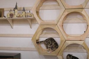 Build a DIY Cat Wall Climbing System [Easy Guide] | The DIY Hub: Creative Crafts, Repairs & Life Hacks
