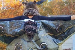 Easy DIY Moth Costume Ideas + How-To's | The DIY Hub: Creative Crafts, Repairs & Life Hacks