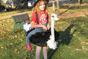 Diy Ostrich Costume | The DIY Hub: Creative Crafts, Repairs & Life Hacks