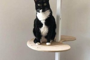 Purr-fect IKEA DIY Cat Tree: Build Your Own! The DIY Hub: Creative Crafts, Repairs & Life Hacks Purr-fect IKEA DIY Cat Tree: Build Your Own! | The DIY Hub: Creative Crafts, Repairs & Life Hacks
