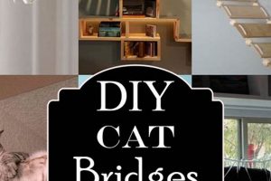 Build a Cat Bridge DIY: Fun & Safe! The DIY Hub: Creative Crafts, Repairs & Life Hacks Build a Cat Bridge DIY: Fun & Safe! | The DIY Hub: Creative Crafts, Repairs & Life Hacks