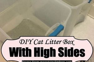 Easy DIY Cat Litter Ideas: Save Money & the Planet! The DIY Hub: Creative Crafts, Repairs & Life Hacks Easy DIY Cat Litter Ideas: Save Money & the Planet! | The DIY Hub: Creative Crafts, Repairs & Life Hacks