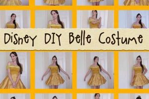 DIY Belle Costume: Disney Dress Delight! The DIY Hub: Creative Crafts, Repairs & Life Hacks DIY Belle Costume: Disney Dress Delight! | The DIY Hub: Creative Crafts, Repairs & Life Hacks