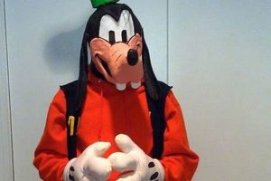 Easy Goofy DIY Costume Ideas: Quick & Fun Costumes! | The DIY Hub: Creative Crafts, Repairs & Life Hacks
