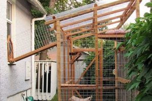Build a DIY Cat Outdoor Enclosure - Secure & Fun! The DIY Hub: Creative Crafts, Repairs & Life Hacks Build a DIY Cat Outdoor Enclosure - Secure & Fun! | The DIY Hub: Creative Crafts, Repairs & Life Hacks
