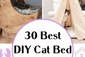 Purrfect Bed for Cats DIY: Easy & Cozy Cat Beds! The DIY Hub: Creative Crafts, Repairs & Life Hacks Purrfect Bed for Cats DIY: Easy & Cozy Cat Beds! | The DIY Hub: Creative Crafts, Repairs & Life Hacks