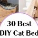 Purrfect Bed for Cats DIY: Easy & Cozy Cat Beds! | The DIY Hub: Creative Crafts, Repairs & Life Hacks