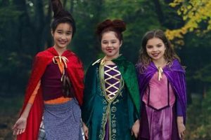 DIY Mary Sanderson Costume: Easy Hocus Pocus Outfit Ideas | The DIY Hub: Creative Crafts, Repairs & Life Hacks