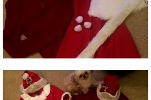Easy DIY Santa Claus Costume Guide - Festive Looks! | The DIY Hub: Creative Crafts, Repairs & Life Hacks