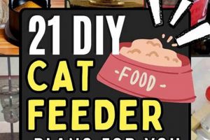 Build a Better Cat Diner: DIY Cat Feeding Station Plans The DIY Hub: Creative Crafts, Repairs & Life Hacks Build a Better Cat Diner: DIY Cat Feeding Station Plans | The DIY Hub: Creative Crafts, Repairs & Life Hacks