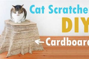The Ultimate DIY Cat Scratch Cardboard: Easy & Fun! The DIY Hub: Creative Crafts, Repairs & Life Hacks The Ultimate DIY Cat Scratch Cardboard: Easy & Fun! | The DIY Hub: Creative Crafts, Repairs & Life Hacks