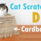 The Ultimate DIY Cat Scratch Cardboard: Easy & Fun! | The DIY Hub: Creative Crafts, Repairs & Life Hacks
